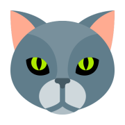 Koty