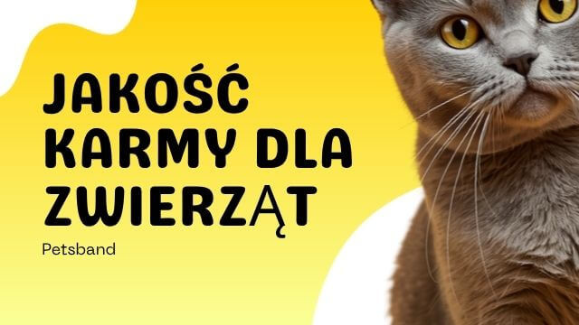 Jakość karm dla zwierząt – na co zwrócić uwagę?